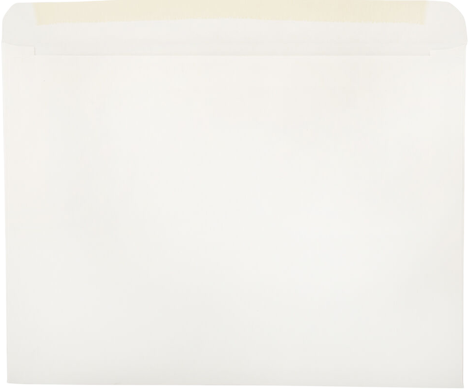 White 28lb Full Face Booklet Window (9 x 12) Envelopes