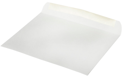 White 28lb Full Face Booklet Window (9 x 12) Envelopes