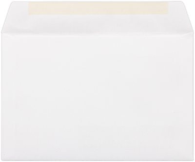 White 24lb 6 x 9 Booklet Bottom Left Window Envelopes