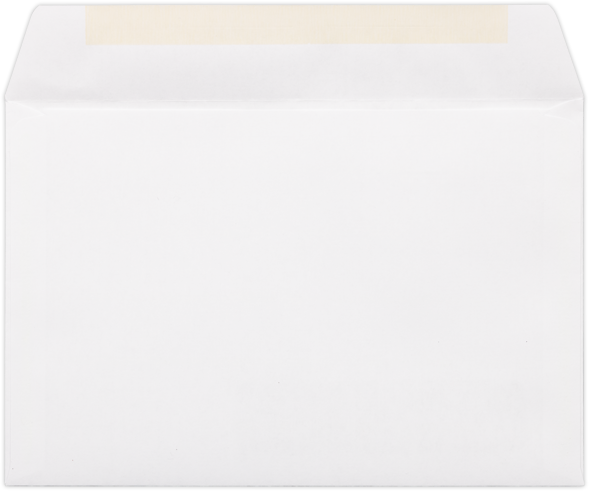 White 24lb 6 x 9 Booklet Bottom Left Window Envelopes