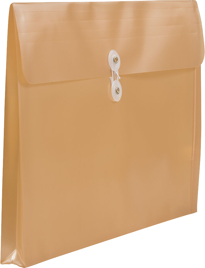 Gold Pearl Legal Booklet Plastic Envelopes (9 3/4 x 14 1/2) with Button & String