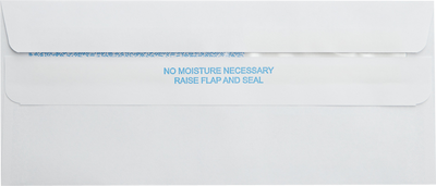 White with Security Tint 24lb #9 Regular Double Window Envelopes (3 7/8 x 8 7/8) with Redi Seal