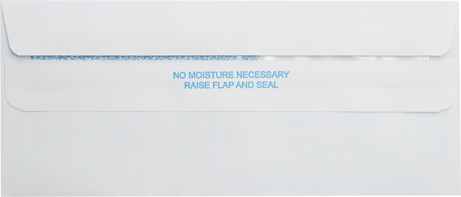 White with Security Tint 24lb #9 Regular Double Window Envelopes (3 7/8 x 8 7/8) with Redi Seal