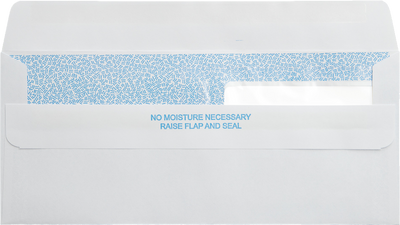 White with Security Tint 24lb #9 Regular Double Window Envelopes (3 7/8 x 8 7/8) with Redi Seal