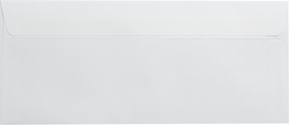 White with Security Tint 24lb #9 Regular Double Window Envelopes (3 7/8 x 8 7/8) with Redi Seal