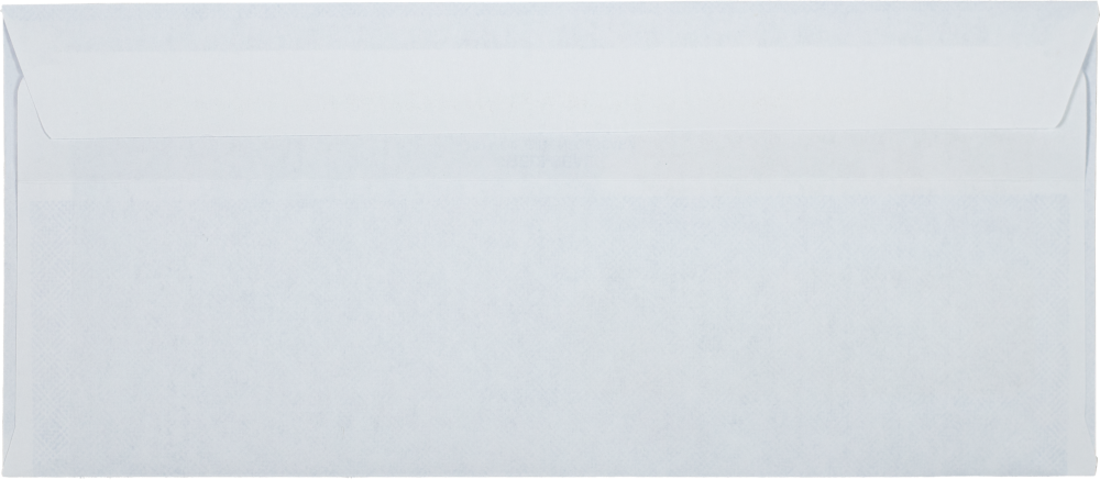 White with Security Tint 24lb #10 Double Window Envelopes (4 1/8 x 9 1/2) with Redi Seal