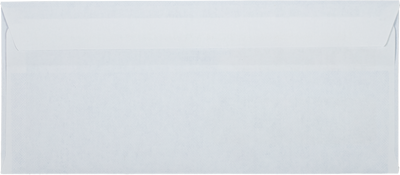 White with Security Tint 24lb #10 Double Window Envelopes (4 1/8 x 9 1/2) with Redi Seal