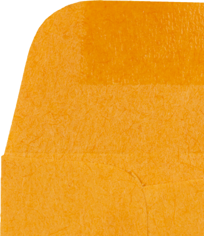 Brown Kraft 24lb #00 Coin Envelopes (1 11/16 x 2 3/4)