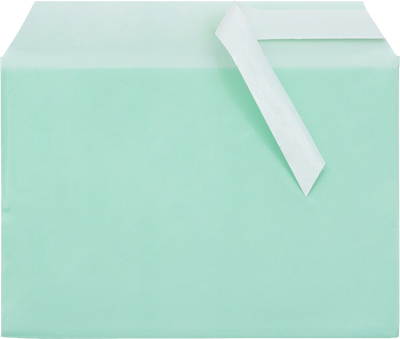 Green 1.6mil 5 1/16 x 7 3/16 Cello Envelopes with Peel & Seal