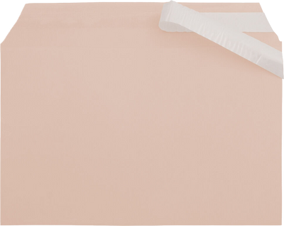 Peach 1.6mil 5 7/16 x 8 5/8 Cello Envelopes with Peel & Seal