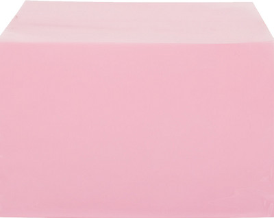 Light Red 1.6mil 5 7/16 x 8 5/8 Cello Envelopes with Peel & Seal