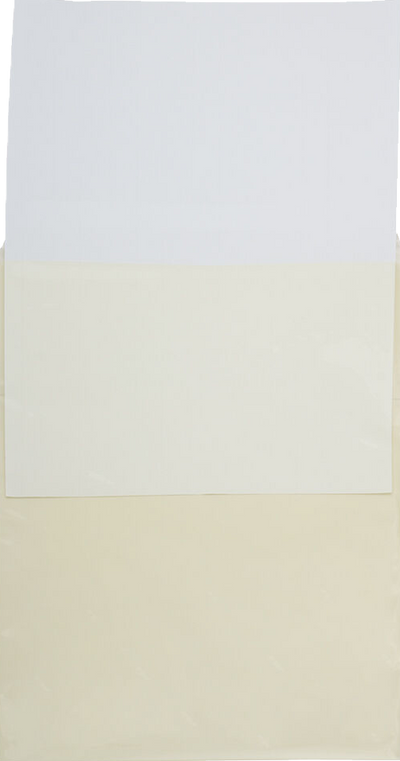 Yellow 1.6mil 8 15/16 x 11 1/4 Cello Envelopes with Peel & Seal