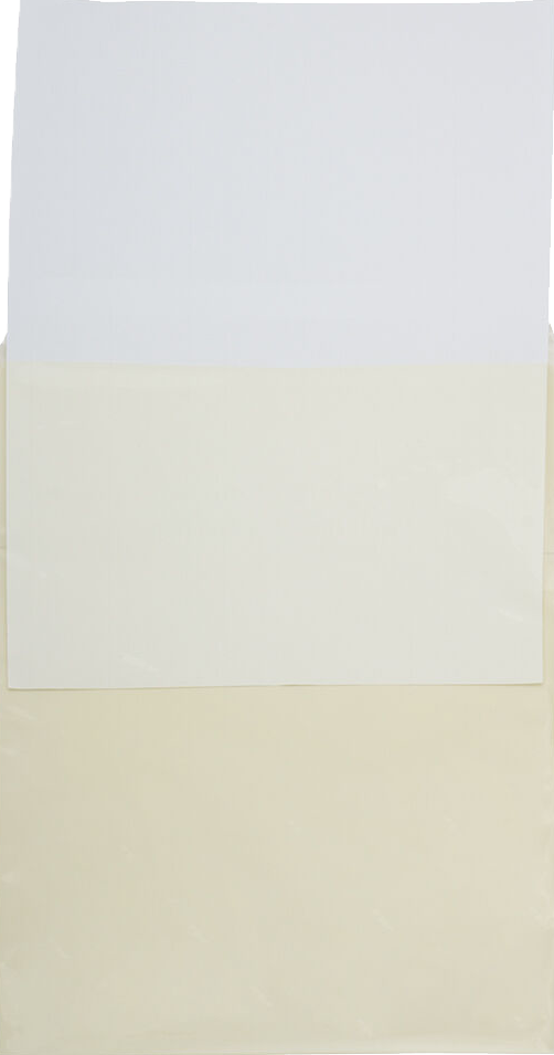 Yellow 1.6mil 8 15/16 x 11 1/4 Cello Envelopes with Peel & Seal