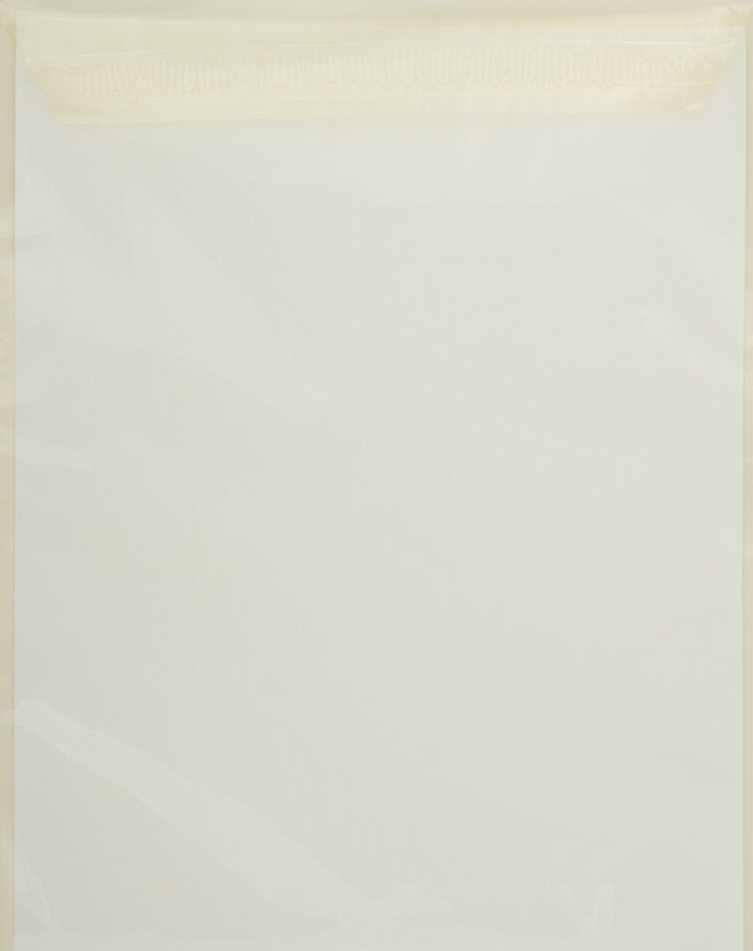 Yellow 1.6mil 8 15/16 x 11 1/4 Cello Envelopes with Peel & Seal