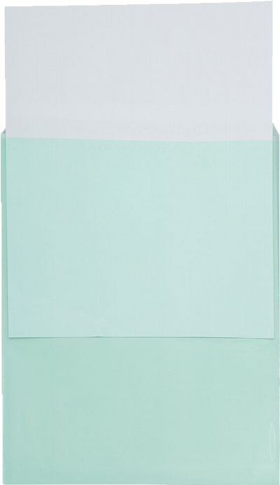 Green 1.6mil 8 15/16 x 11 1/4 Cello Envelopes with Peel & Seal