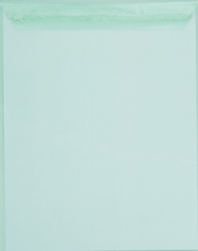 Green 1.6mil 8 15/16 x 11 1/4 Cello Envelopes with Peel & Seal