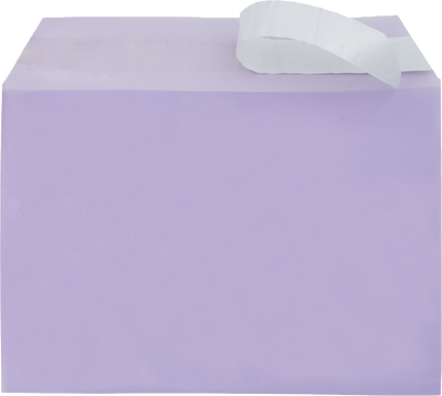 Purple 1.6mil 5 1/16 x 7 3/16 Cello Envelopes with Peel & Seal