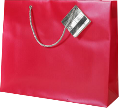Red Large Opaque Shopping Bags (13 x 10 x 5)