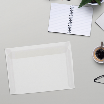 Clear Translucent 30lb 9 x 12 Booklet Envelopes