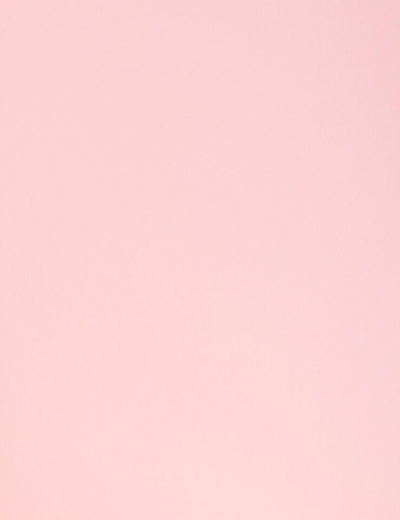 Baby Candy Pink 9 x 12 Matte Folders