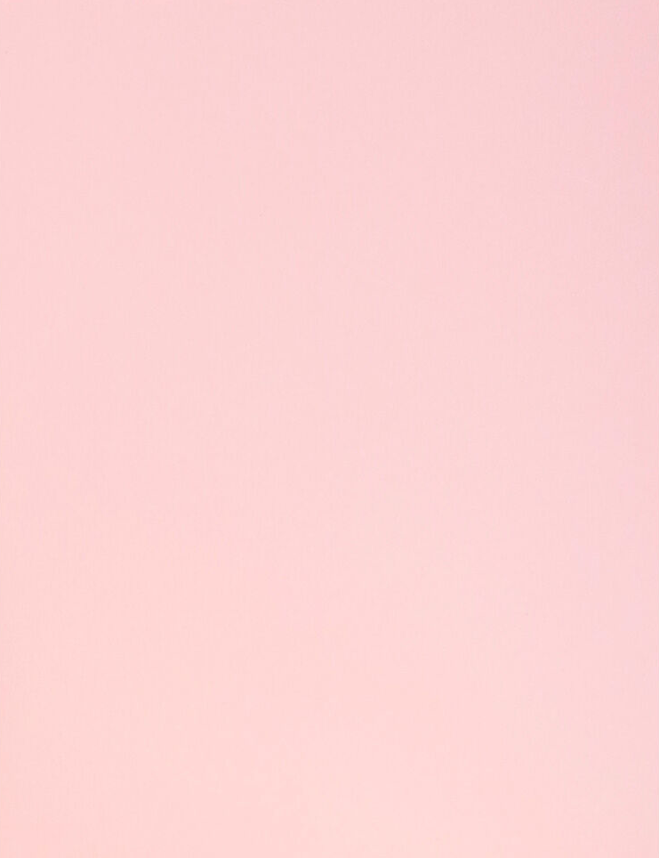 Baby Candy Pink 9 x 12 Matte Folders