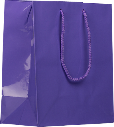 Purple Medium Glossy Gift Bags (8 x 10 x 4)