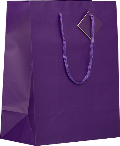 Purple Large Matte Gift Bags (10 x 13 x 5)