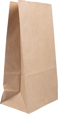 Brown Kraft Paper Lunch Bags - Large - 6 x 11 x 3 1/2 - 25 Pack