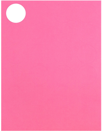 Pink 1 x 2 5/8 Address and 1 x 1 2/3 Circle Labels Set