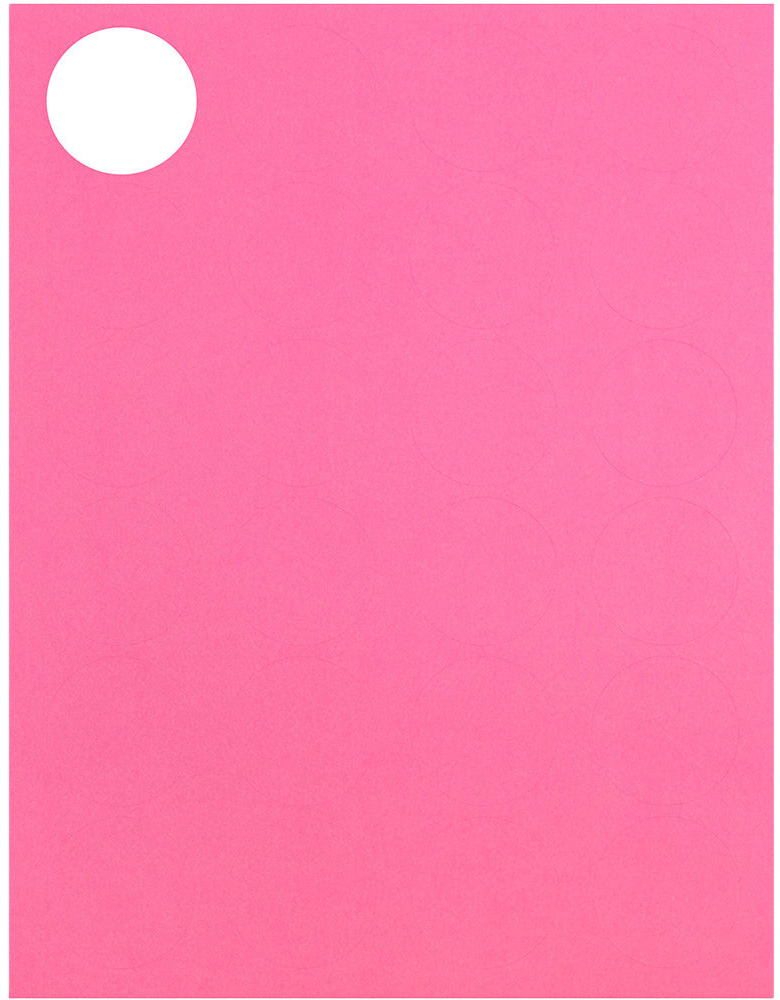 Pink 1 x 2 5/8 Address and 1 x 1 2/3 Circle Labels Set