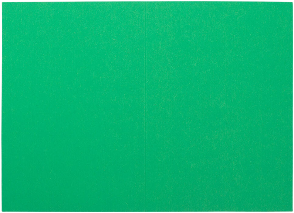 Holiday Green 100lb 4 x 5 7/16 Foldover Cards