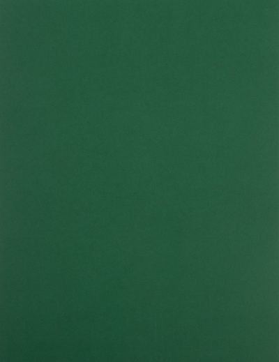 Dark Green 28lb 10 x 13 Open End Envelopes