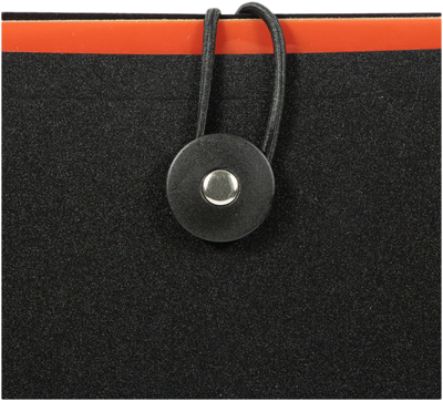 Black with Assorted Letter Size 12 Pocket Expanding Files (9 x 13)