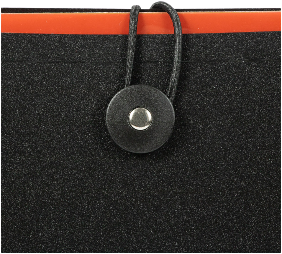 Black with Assorted Letter Size 12 Pocket Expanding Files (9 x 13)