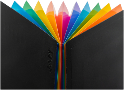 Black with Assorted Letter Size 12 Pocket Expanding Files (9 x 13)