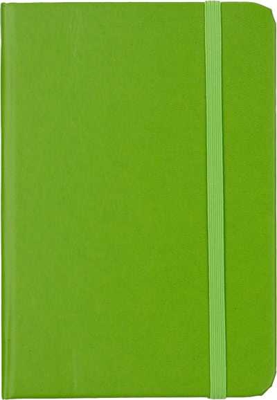 Green Apple Travel Size 4 x 6 Notebooks (70 Dotted Pages)