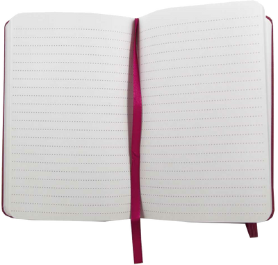 Pink Berry Large 5 7/8 x 8 1/2 Notebooks (70 Dotted Pages)