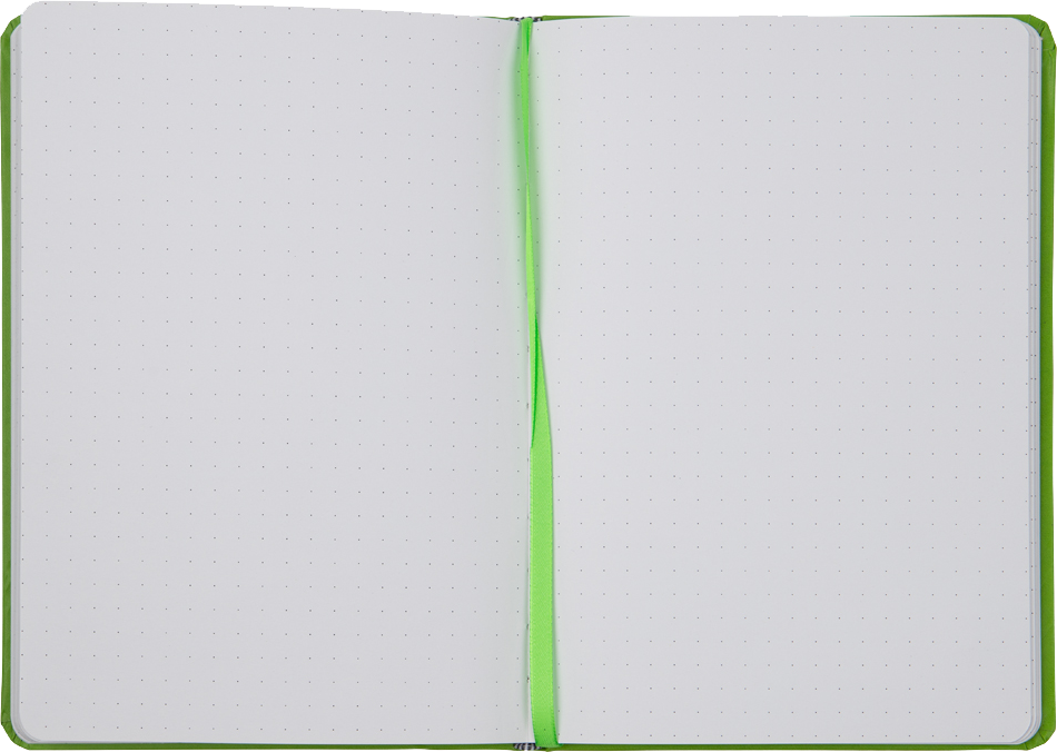 Green Apple Large 5 7/8 x 8 1/2 Notebooks (70 Dotted Pages)