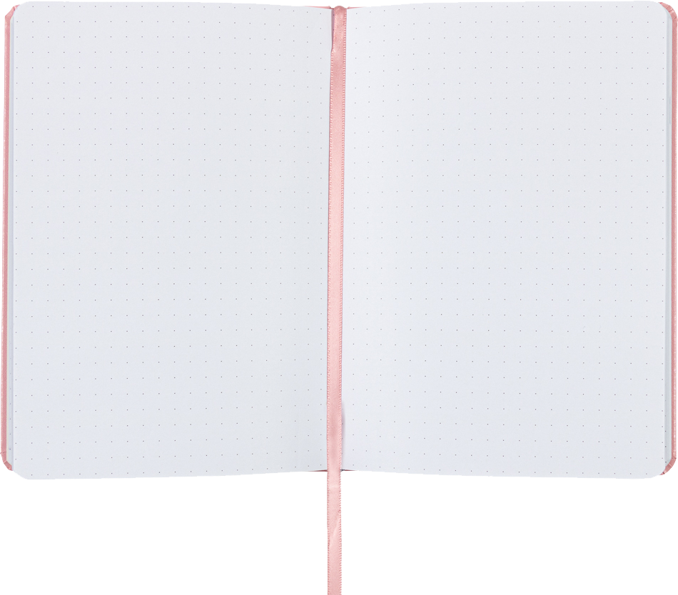 Baby Pink Large (5 7/8 x 8 1/2) Notebooks