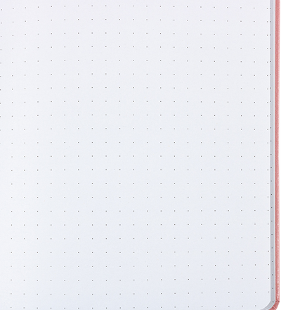 Baby Pink Large (5 7/8 x 8 1/2) Notebooks