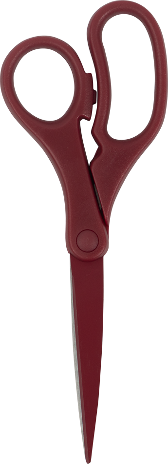 Burgundy Precision Scissors