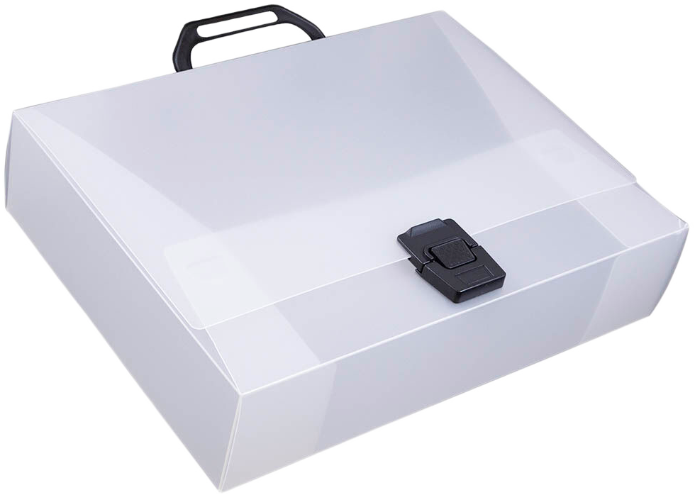 Clear 12 3/4 x 9 1/2 x 3 Plastic Carry Cases with Buckle