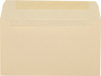 Pastel Natural 20lb #6 3/4 Regular Envelopes (3 5/8 x 6 1/2)