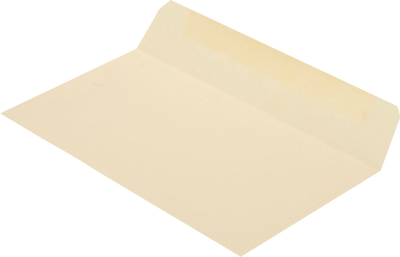 Pastel Natural 20lb #6 3/4 Regular Envelopes (3 5/8 x 6 1/2)