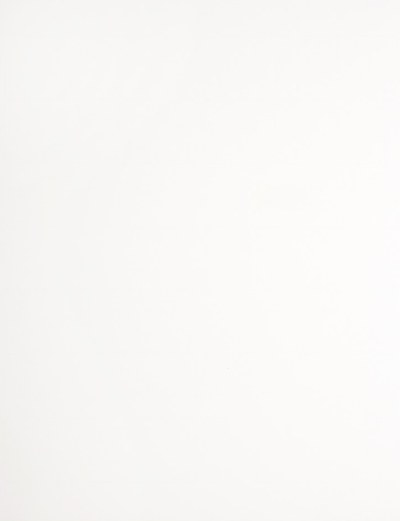 White 1 1/3 x 4 Address Labels