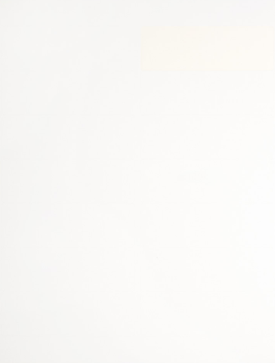 White 1 1/3 x 4 Address Labels