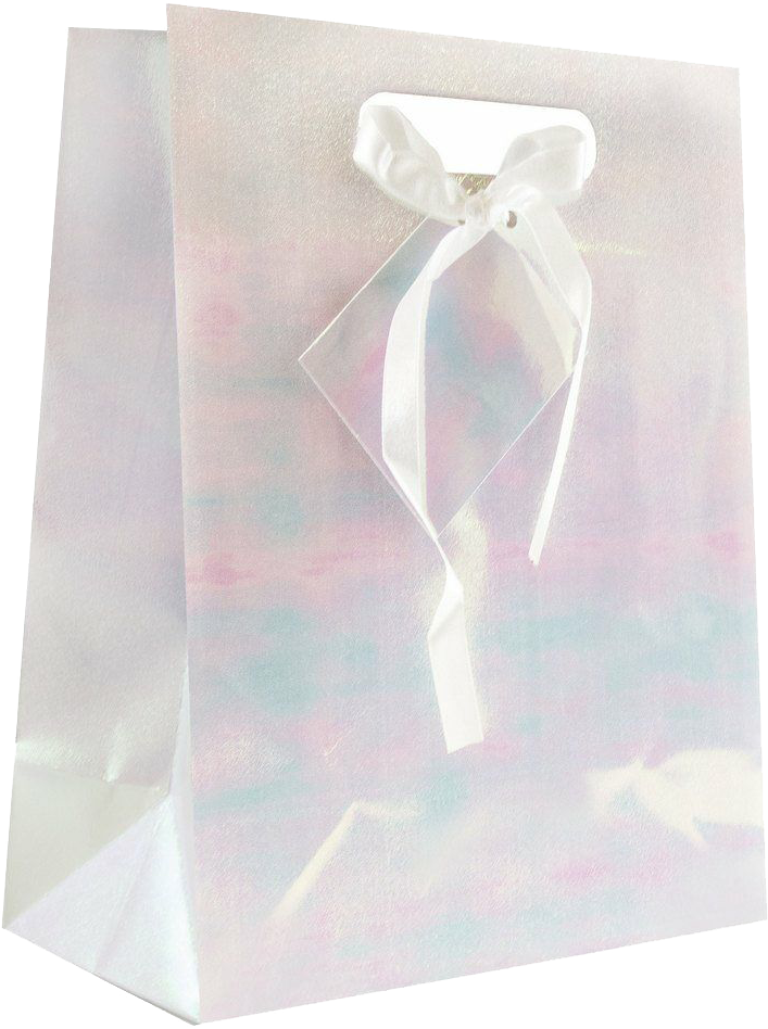 White Large Holographic Gift Bags (10 x 13 x 5)