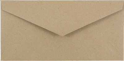 Grocery Bag 28lb #7 3/4 Monarch Envelopes (3 7/8 x 7 1/2)