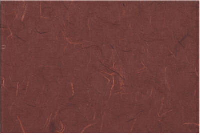 Burgundy Rainforest 9 x 11 3/4 x 5/8 Button and String Portfolios