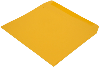 Sunflower Yellow 32lb 9 x 12 Booklet Envelopes